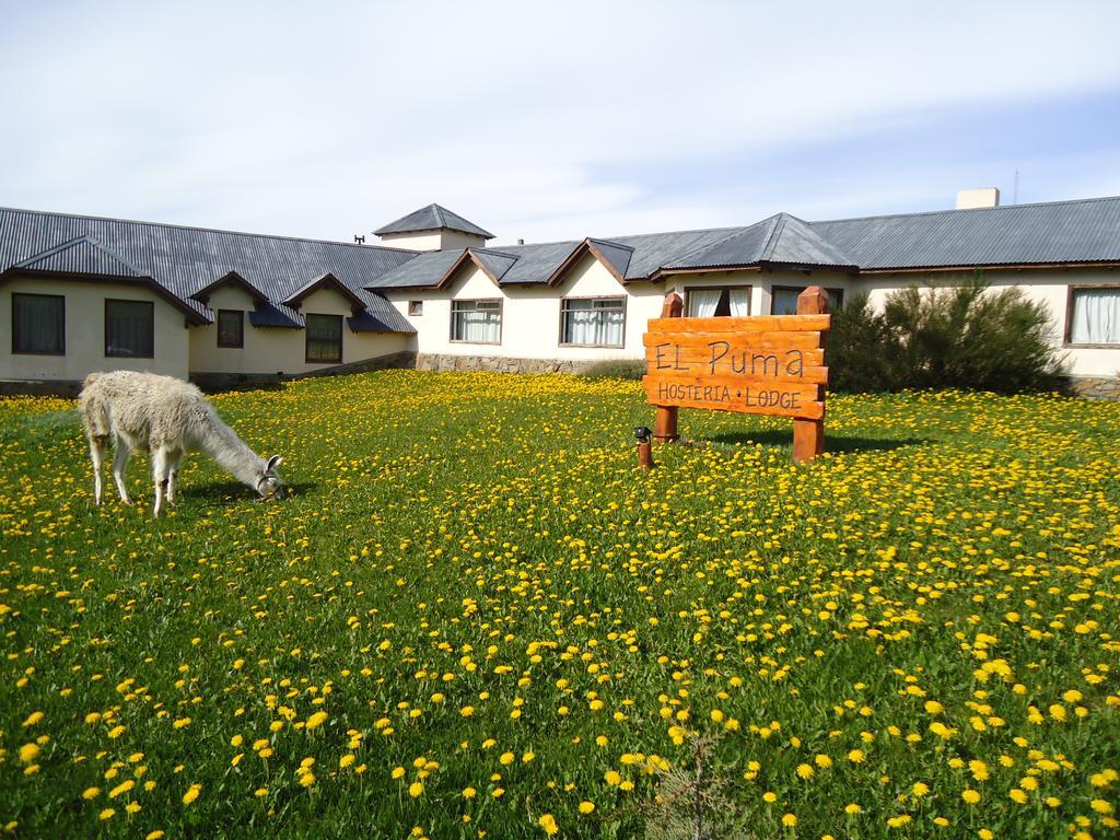 Hosteria El Puma El Chalten Exterior foto